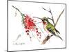 Ruby Throated Hummingbird-Suren Nersisyan-Mounted Art Print