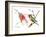 Ruby Throated Hummingbird-Suren Nersisyan-Framed Art Print