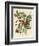 Ruby Throated Hummingbird-null-Framed Giclee Print