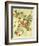 Ruby-Throated Hummingbird-John James Audubon-Framed Art Print