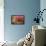 Ruby Topaz Hummingbird-Ken Archer-Framed Premier Image Canvas displayed on a wall