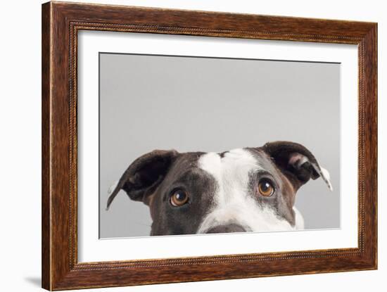 Ruby-Susan Sabo-Framed Photographic Print