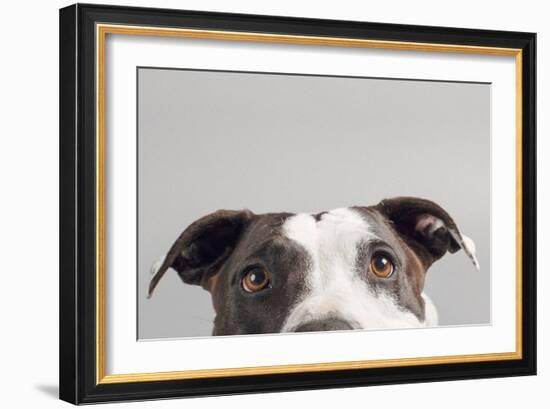 Ruby-Susan Sabo-Framed Photographic Print