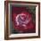 Ruby-Barbara Keith-Framed Giclee Print