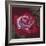 Ruby-Barbara Keith-Framed Giclee Print