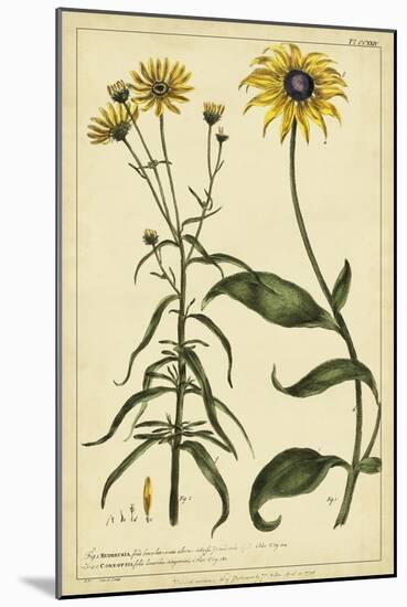 Rudbeckia and Coreopsis, Pl. CCXXIV-Phillip Miller-Mounted Art Print