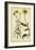 Rudbeckia and Coreopsis, Pl. CCXXIV-Phillip Miller-Framed Art Print