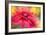 RUDBECKIA-Jacky Parker-Framed Giclee Print