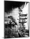 Photographic Print