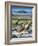 Ruddy-headed Goose (Chloephaga rubidiceps) in tidal area of Carcass Island, Falkland Islands-Martin Zwick-Framed Photographic Print