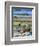 Ruddy-headed Goose in tidal area of Carcass Island, Falkland Islands-Martin Zwick-Framed Photographic Print