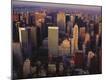 Premium Photographic Print