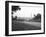 Rudolf Caracciola in His Mercedes, French Grand Prix, Rheims, 1938-null-Framed Photographic Print