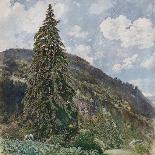 The Old Spruce in Bad Gastein, 1899-Rudolf von Alt-Giclee Print