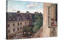 Stretched Canvas Print
