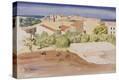 Stretched Canvas Print