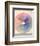 Rudolph Schaeffer, Color Wheel; Archive of American Art-null-Framed Art Print