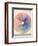 Rudolph Schaeffer, Color Wheel; Archive of American Art-null-Framed Art Print