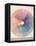 Rudolph Schaeffer, Color Wheel; Archive of American Art-null-Framed Stretched Canvas