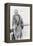 Rudolph Valentino, c.1925-null-Framed Premier Image Canvas