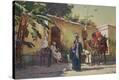 Stretched Canvas Print