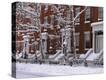 Stretched Canvas Print