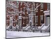 Photographic Print