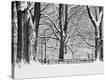 Stretched Canvas Print
