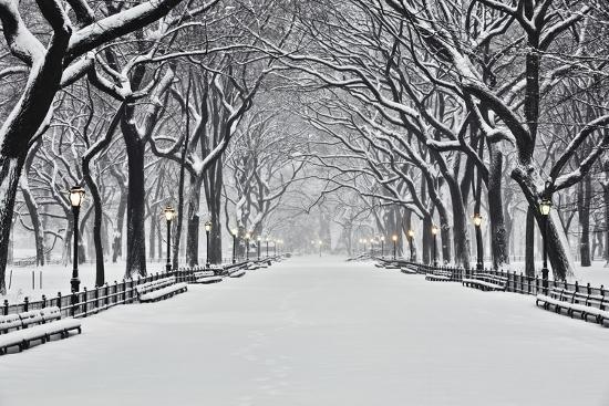 Giant Art Print, , large