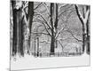 Photographic Print