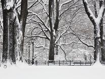 Central Park in Winter-Rudy Sulgan-Photographic Print