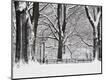 Photographic Print