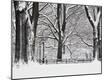 Photographic Print
