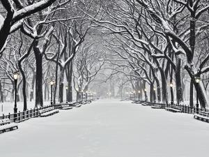 Central Park in Winter by Rudy Sulgan