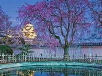 Himeji Castle Behind Blooming Cherry Trees at Twilight-Rudy Sulgan-Photographic Print