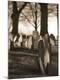 Photographic Print