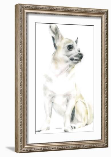 Rudy The Chihuahua-Kellas Campbell-Framed Giclee Print