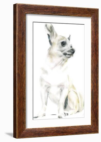 Rudy The Chihuahua-Kellas Campbell-Framed Giclee Print