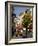 Rue D' Antibes, Cannes, Alpes Maritimes, Provence, Cote D'Azur, French Riviera, France, Europe-Richard Cummins-Framed Photographic Print