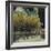 Rue de Cloitre Notre Dame, Paris-Susan Brown-Framed Giclee Print