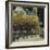 Rue de Cloitre Notre Dame, Paris-Susan Brown-Framed Giclee Print