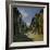 Rue de la Bavolle, Honfleur-Claude Monet-Framed Giclee Print