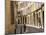 Rue Des Epinaux, Aix-En-Provence, Bouches-Du-Rhone, Provence, France, Europe-Ruth Tomlinson-Mounted Photographic Print