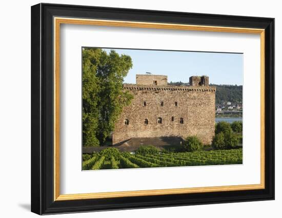 Rüdesheim am Rhein, View to Brömserburg / Niederburg (castle)-Torsten Krüger-Framed Photographic Print