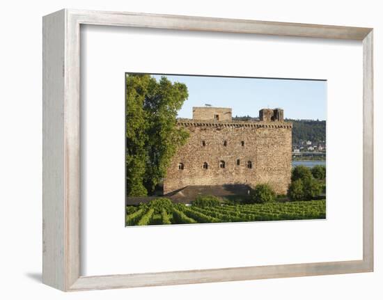 Rüdesheim am Rhein, View to Brömserburg / Niederburg (castle)-Torsten Krüger-Framed Photographic Print