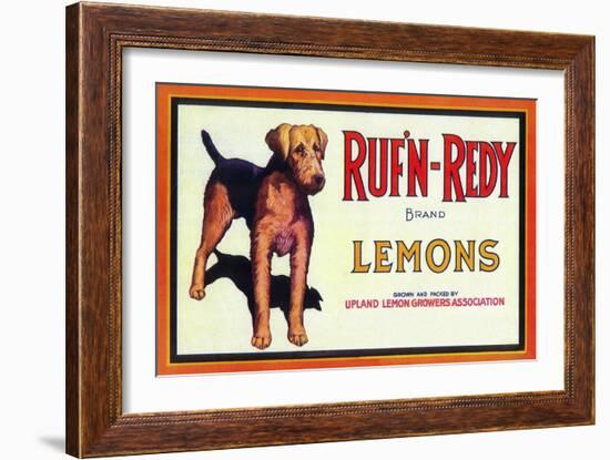 Ruf n' Redy Lemon Label - Upland, CA-Lantern Press-Framed Art Print