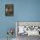 Rufescent Tiger Heron-Joe McDonald-Framed Premier Image Canvas displayed on a wall