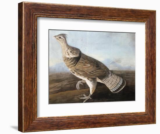 Ruffed Goose, C.1812-John James Audubon-Framed Giclee Print