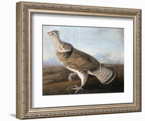 Ruffed Goose, Circa 1812-John James Audubon-Framed Giclee Print