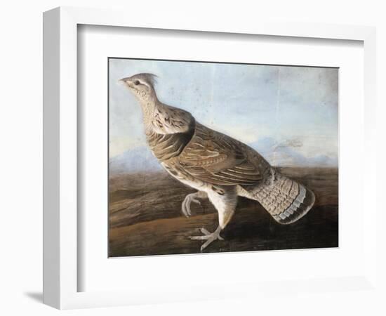 Ruffed Goose, Circa 1812-John James Audubon-Framed Giclee Print